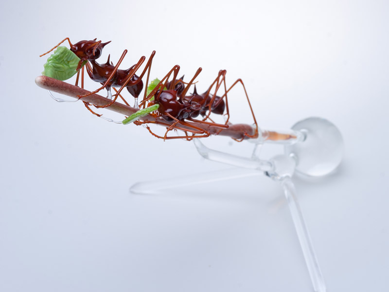 March of Progress, glass ant by Wesley Fleming