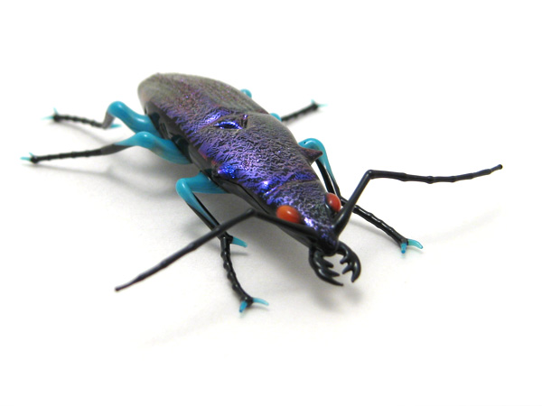 Mini Tiger Beetle, glass beetle by Wesley Fleming