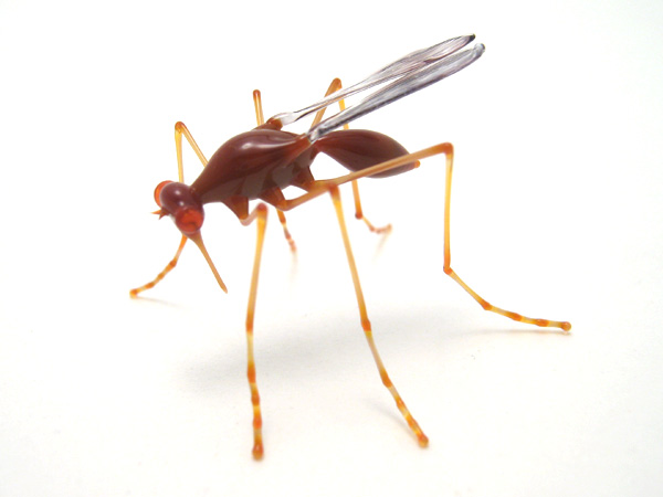 Mosquito, glass mosquito by Wesley Fleming