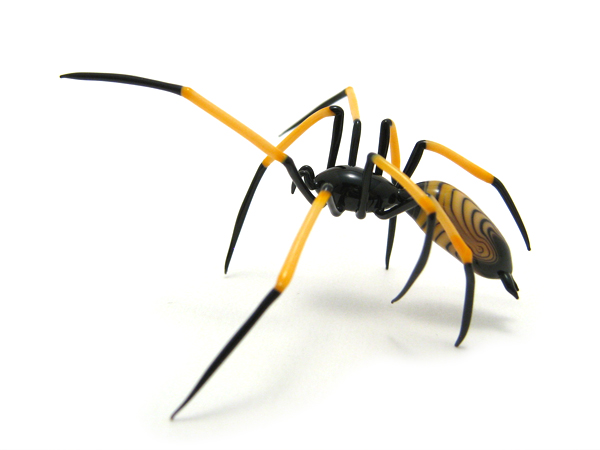 Orb Weaver, glass spider by Wesley Fleming