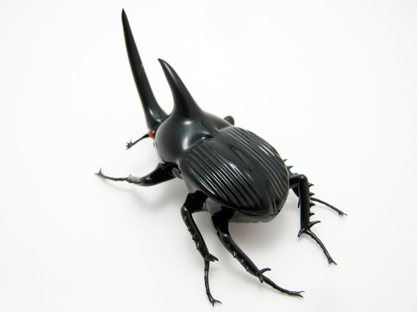 Black Rhinoceros Beetle, glass insect by Wesley Fleming