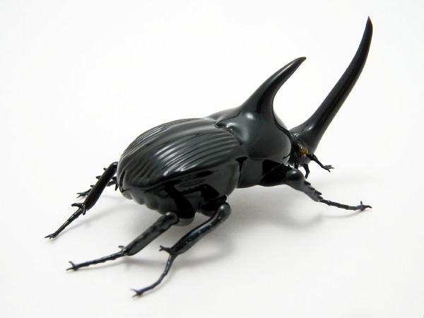 Black Rhinoceros Beetle, glass rhinoceros beetle by Wesley Fleming