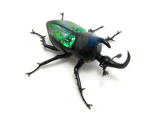 Jewel Rhinoceros Beetle, glass insect by Wesley Fleming