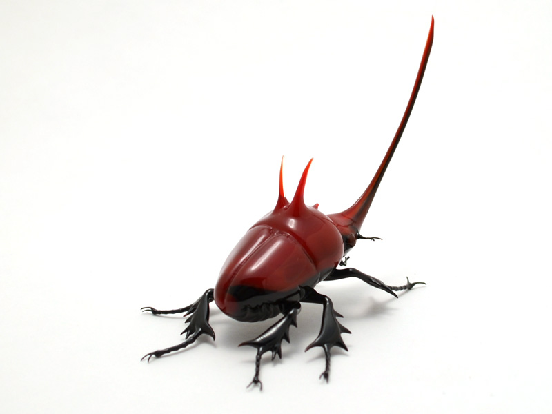 Ruby Rhinoceros Beetle, glass beetle by Wesley Fleming