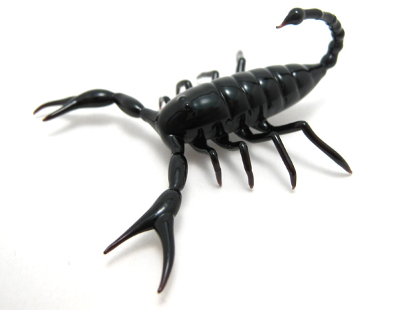 scorpion, glass bug by Wesley Fleming