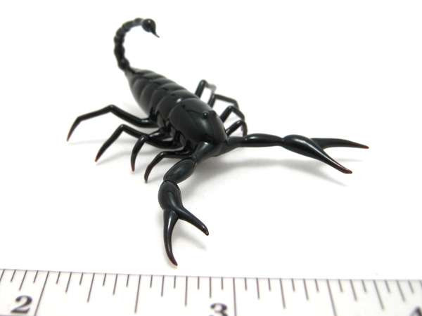 scorpion, glass bug by Wesley Fleming