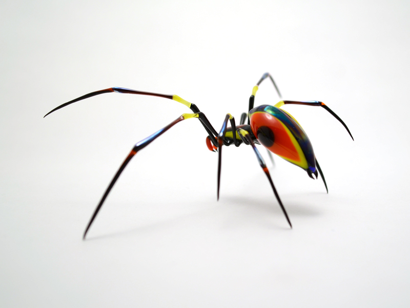 Colorburst Orb Weaver, glass spider by Wesley Fleming