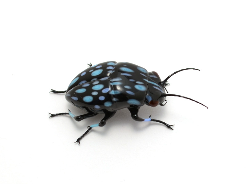 Blue Spotted Leaf Chafer Beetle, glass bug by Wesley Fleming