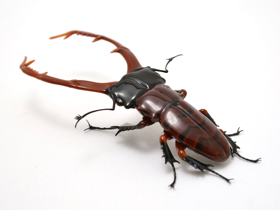 Striped Stag Beetle, glass stag beetle by Wesley Fleming