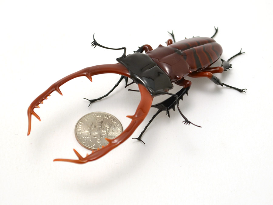 Striped Stag Beetle, glass beetle spider by Wesley Fleming