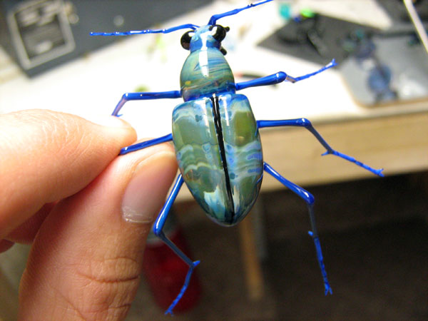 Cicndela sexgutta, glass beetle by Wesley Fleming