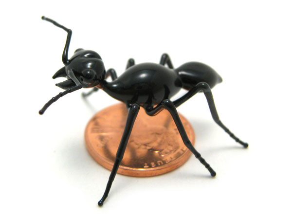 tiny ant, glass ant by Wesley Fleming