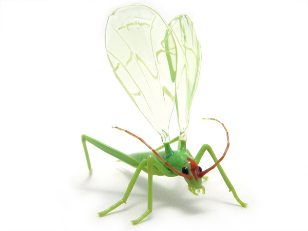Montana Tree Cricket, glass bug by Wesley Fleming