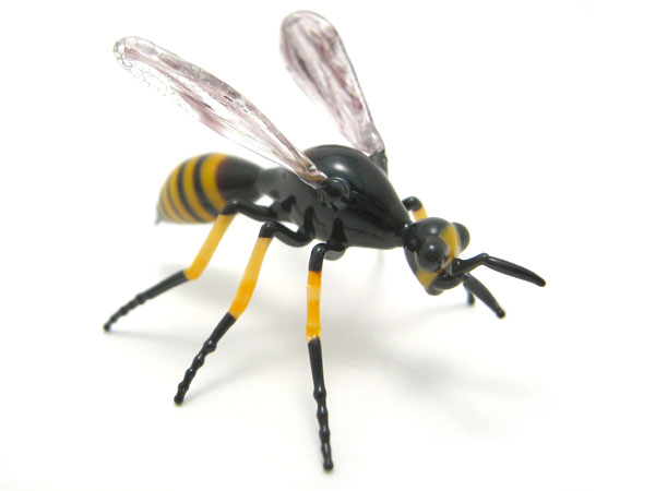 Wasp, glass insect by Wesley Fleming